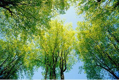 明年1月上市《海绵宝宝：宇宙摇摆》BOSS战预告